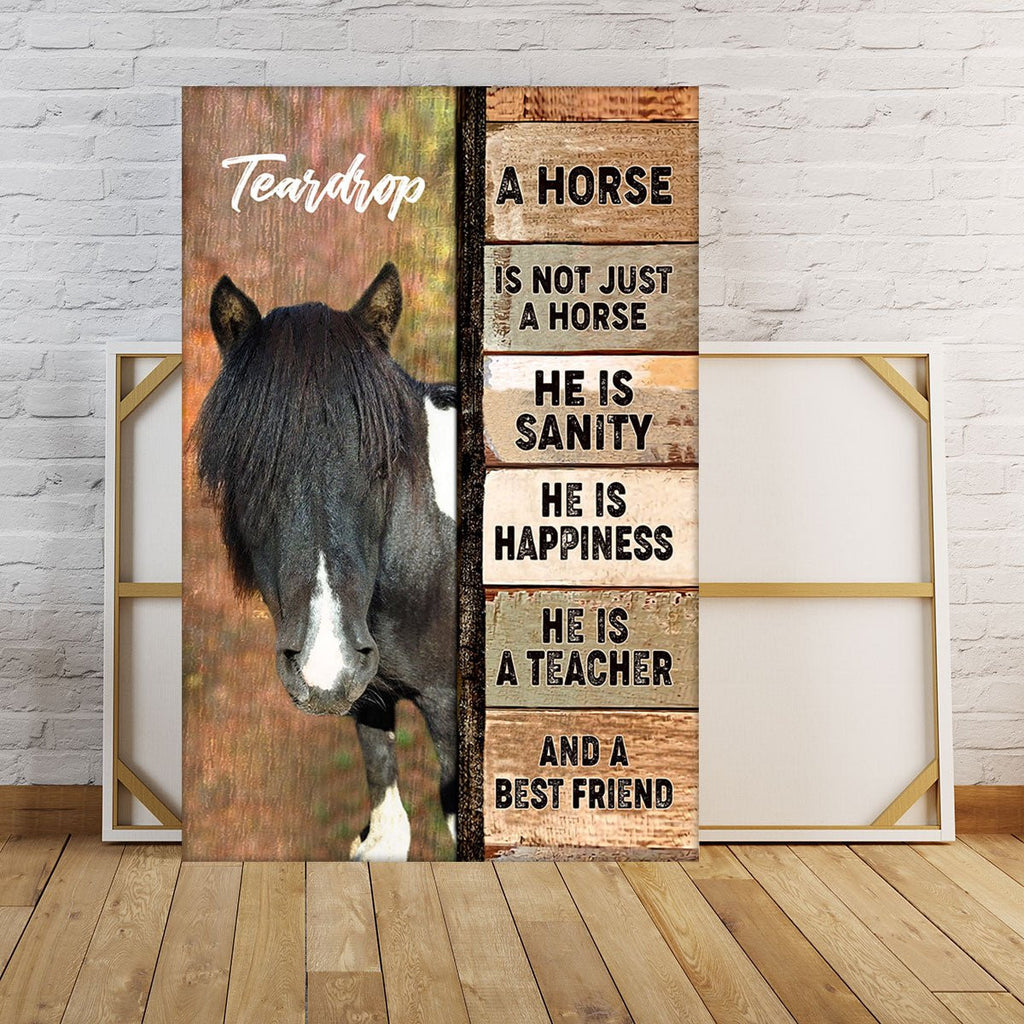 Personalized A Horse Not Just A Horse Poster & Canvaswdwq eqw easdasd Personalized A Horse Not Just A Horse Poster & Canvasewq wqe wqeaadk.